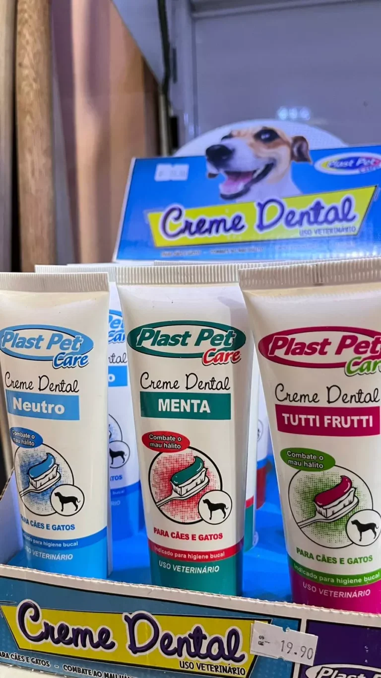 AnyConv.com__WhatsApp Image 2024-11-06 at 18.07.35