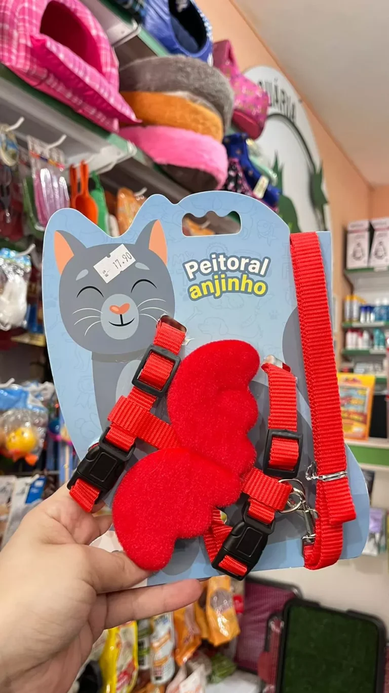 AnyConv.com__WhatsApp Image 2024-11-06 at 18.09.21